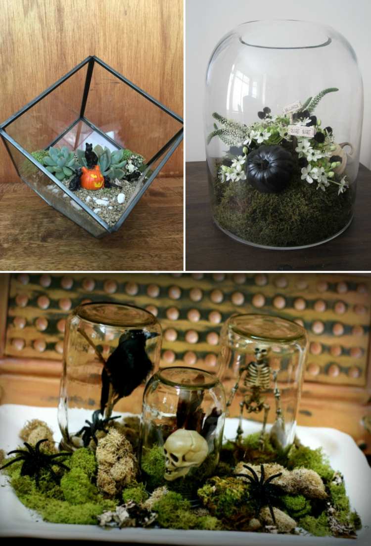 halloween växter terrarium idéer gör det själv skalle pumpa svart