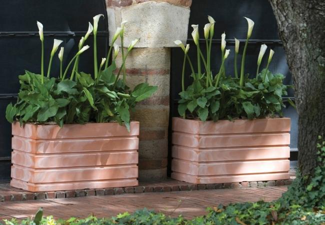 Terrakotta planterings-badkar trädgårdsdesign fönsterlåda