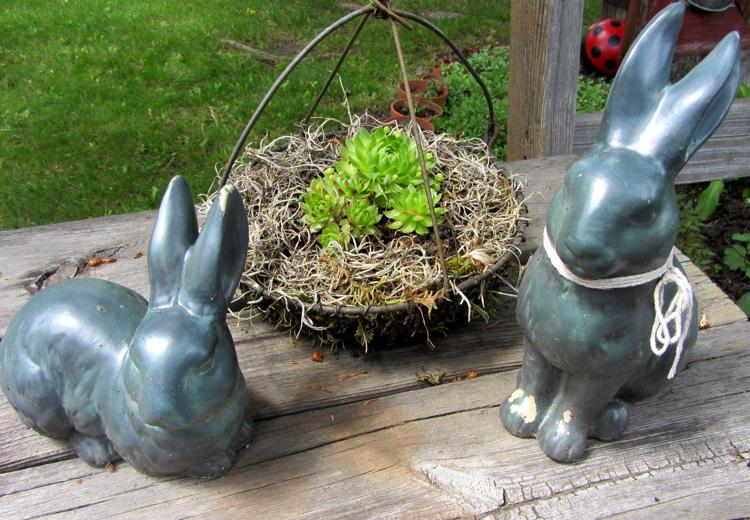 planter-utomhus-huseleek-växt-korg-kanin-trädgård dekoration