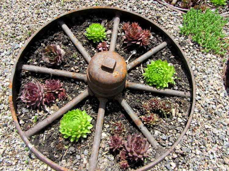 planters-utanför-huseleek-växter-vagn-hjul-stenbrott-sten-trädgård dekoration
