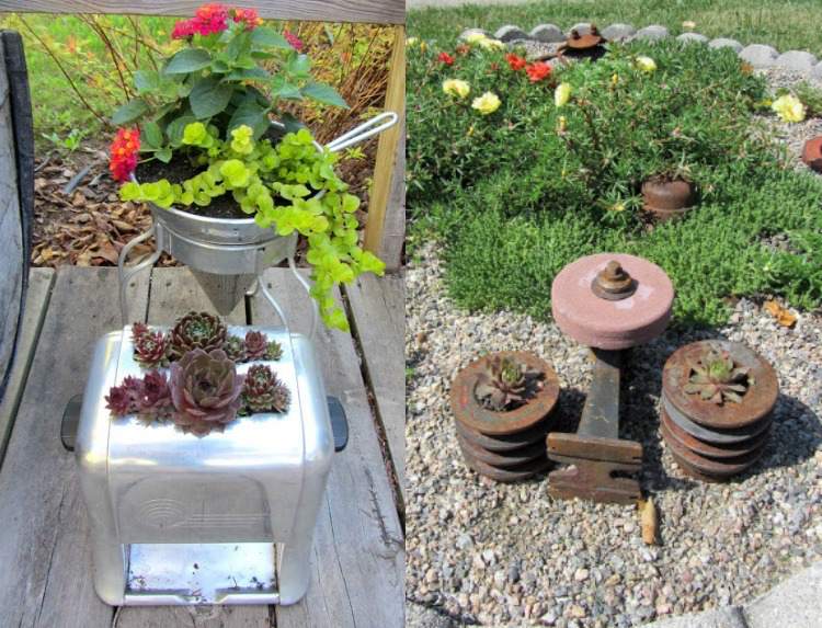 planters-utanför-houseleek-växter-rost-aluminium-gamla-saker