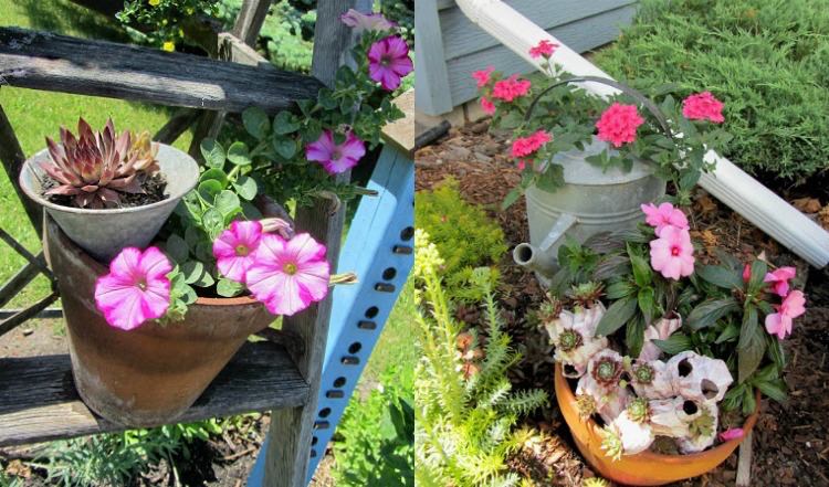 planter-utsida-huseleek-växt-blomkruka-tratt-zink kanna