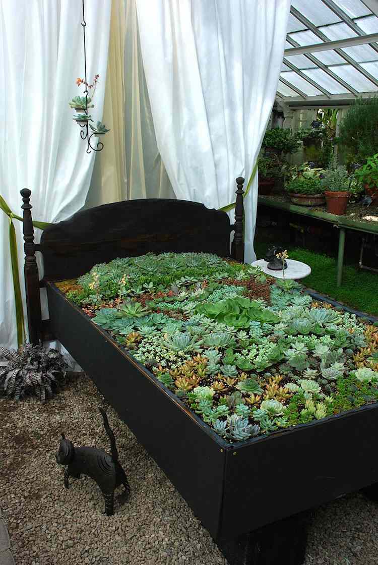 planters-utanför-houseleek-växter-sov-säng-grönt-trä-trädgård dekoration