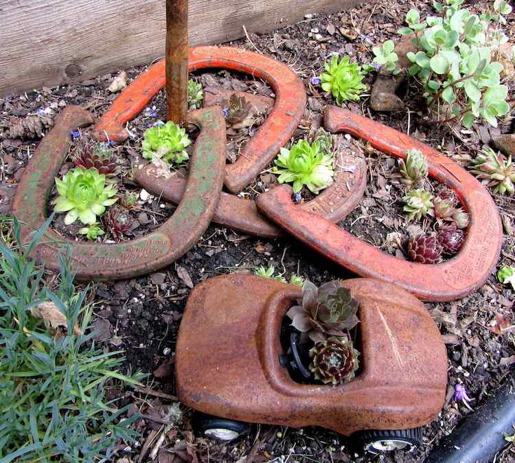 Planters i utomhusområdet-husnära-växter-rost-barnvagn-leksak-hästskor