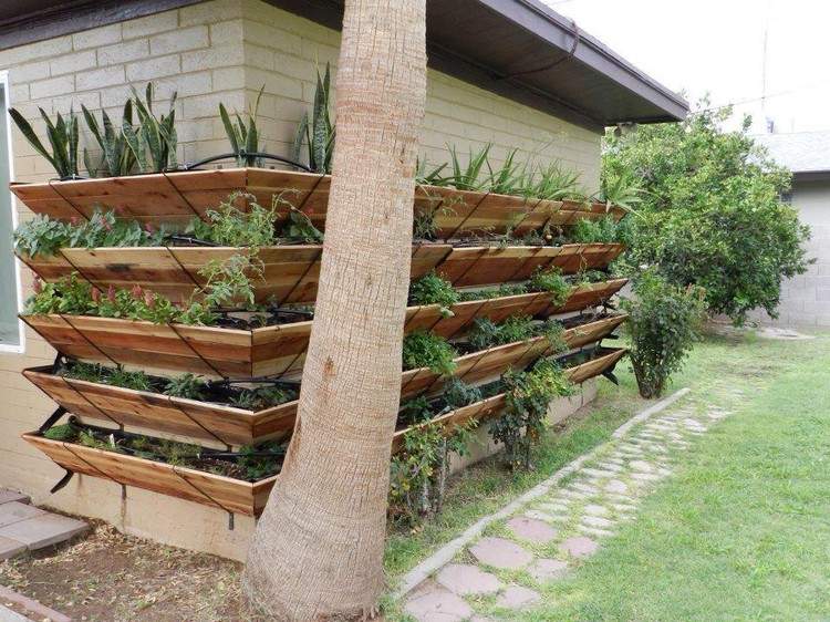 planter-trä-planka-vägg-fäst-växter