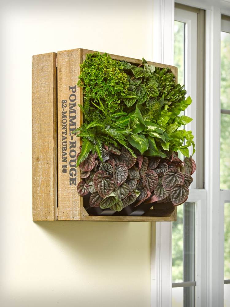 växt-kuber-trä-bygg-själv-upcycling-vinlådor-vertikal-modern-deco-diy