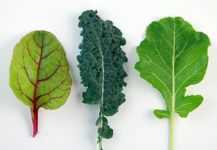 Var uppmärksam på lågoxalatbladiga grönsaker