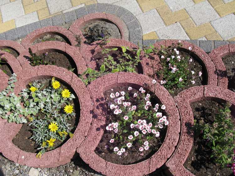 Ställ växtringar -trädgård-design-oval-arrangemang-byggstenar-växter
