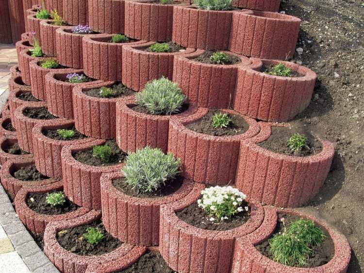 planteringsringar-betong-inställning-trädgård-design-oval-tegel-röd-små-buskage-växter