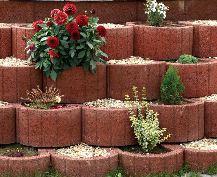 planteringsringar-betong-inställning-trädgård-design-röd-grus-krysantemum-rit-små-buskar