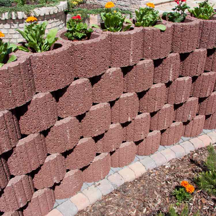 planteringsringar-betong-set-trädgård-design-röd-tegel-röd-rund-sammet-blomma-solig-vägg