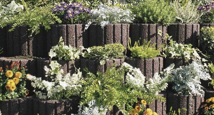 planteringsringar-betong-set-trädgård-design-grå-stöd-vägg-blommande-mark täck-buskar