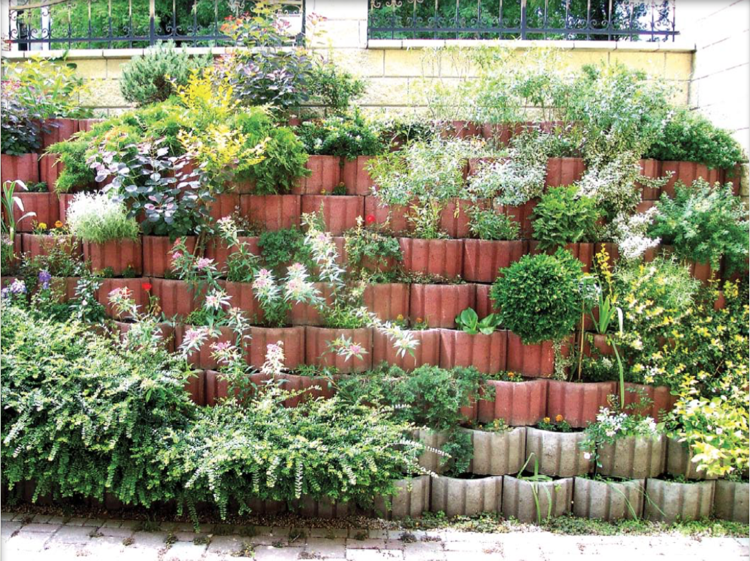 Ställ växtringar -trädgård-design-frodig-grön-buskar-terrasserad-ordning