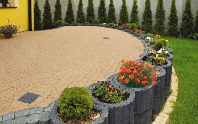 Växt-stenar-sätta-växt-rund-betong-optik-struktur-trädgård design