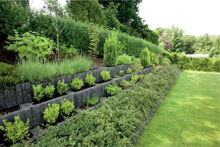 Ställ planteringsstenar -plantering-rektangulär-vägg-sluttning-grön-cypress