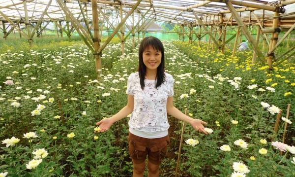 Flickor China Chrysanthemum Field Breeding