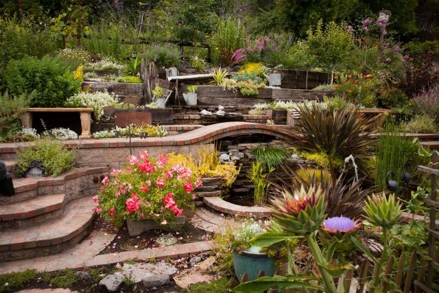 lättskött trädgård design växter vatten krav pinnacles damm