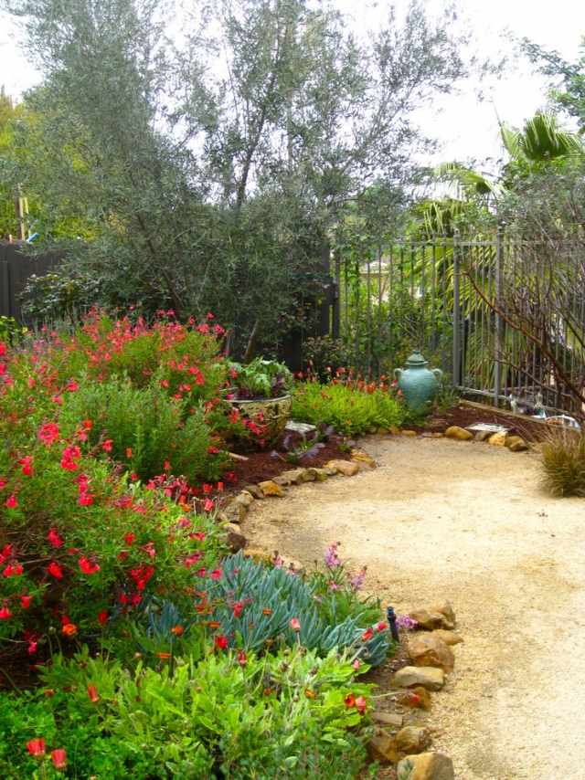 trädgård design växter perenner vatten behöver stenar gränser