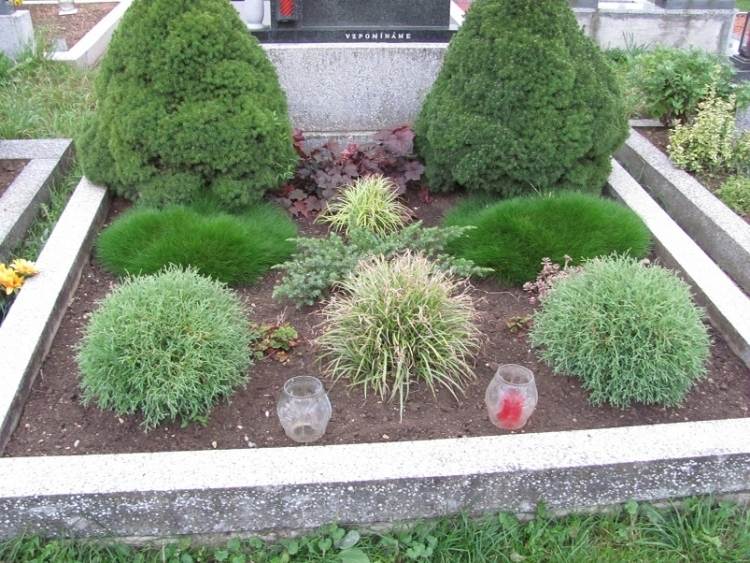 permanent gravplantexempel delvis skugga-vintergröna-björnskinn-gräs-heuchera-prydnadsgräs