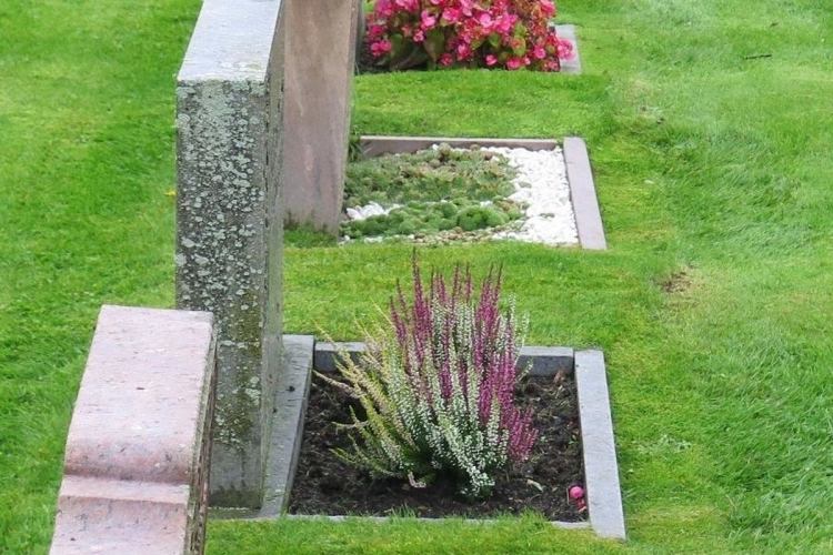 lättskött-grav-plantering-eriken-weiss-lila-gravsten-liten
