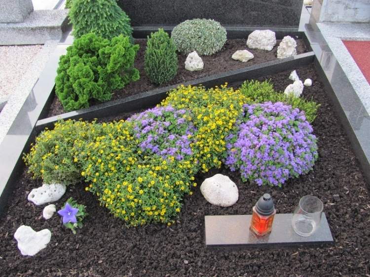 lättskött-grav-plantering-vårblommor-sten-ört-gul-blå-lobelia