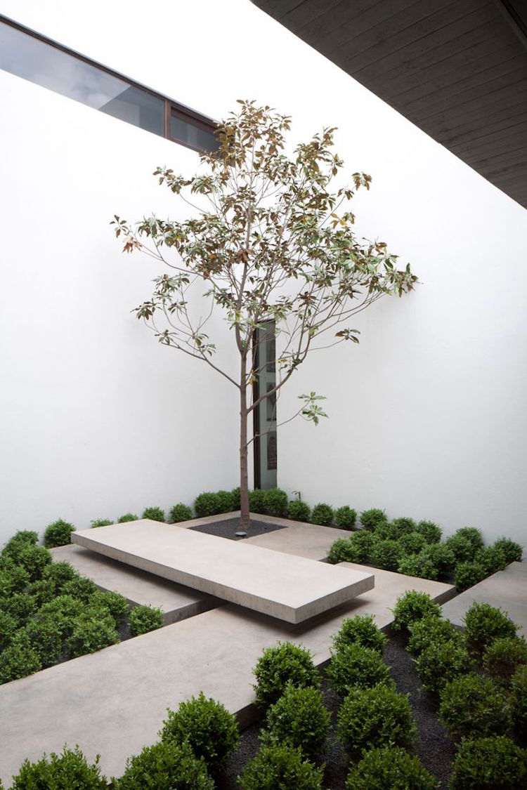 lättskött-tilldelning-trädgård-terrass-träd-modern-trädgård-design-boxwood