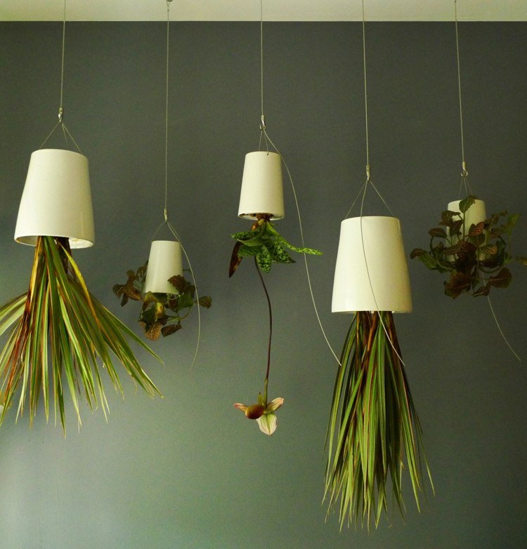 hängande-inomhus-växter-upp och ner-parasoll-idé-graeser-orkidé