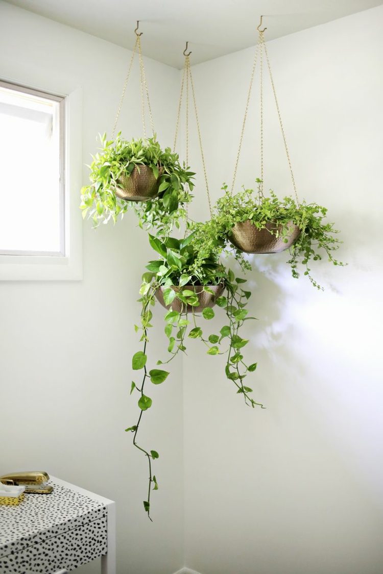 hängande-krukväxter-grupper-idé-vit-vägg-dekorera