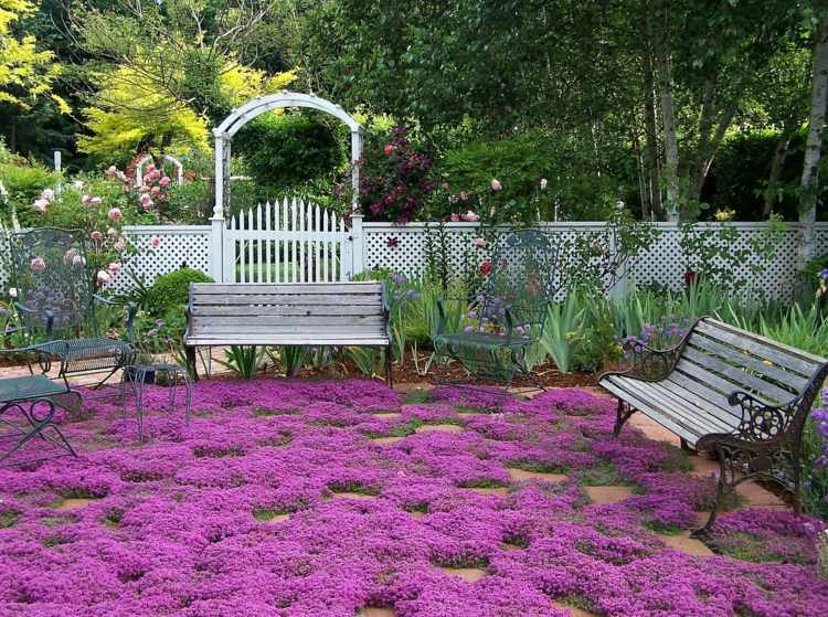 phlox växter marktäcke blommor matta trädgård bänk staket