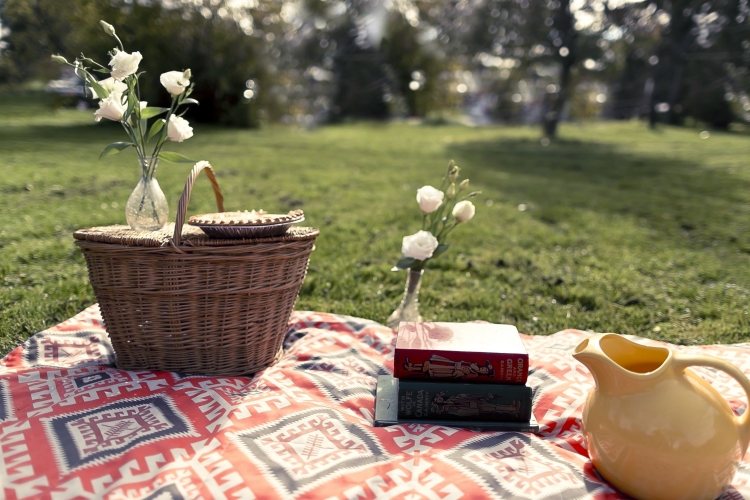 Picknickrecept-tillbehör-filt-korg-böcker-gräsmatta-dekoration