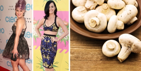 hollywood stars svampdiet sallader och matlagningsrecept