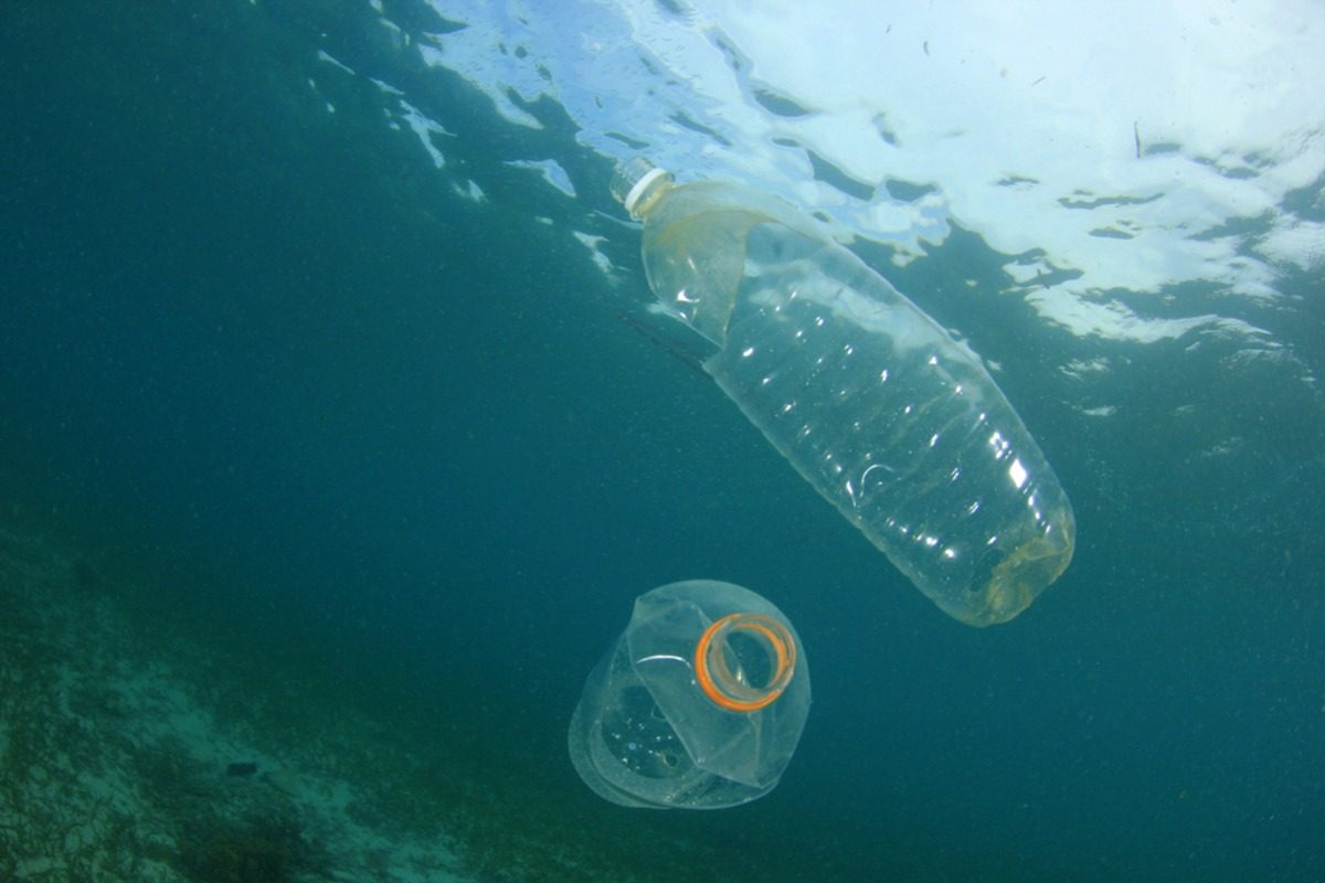 kasserade plastvattenflaskor simmar i djupt vatten utan lock