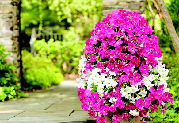 Gör ett blomstertorn själv bildguide trädgård och terrass