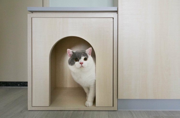 Många gömställen tack vare multifunktionella möbler för familjens katt