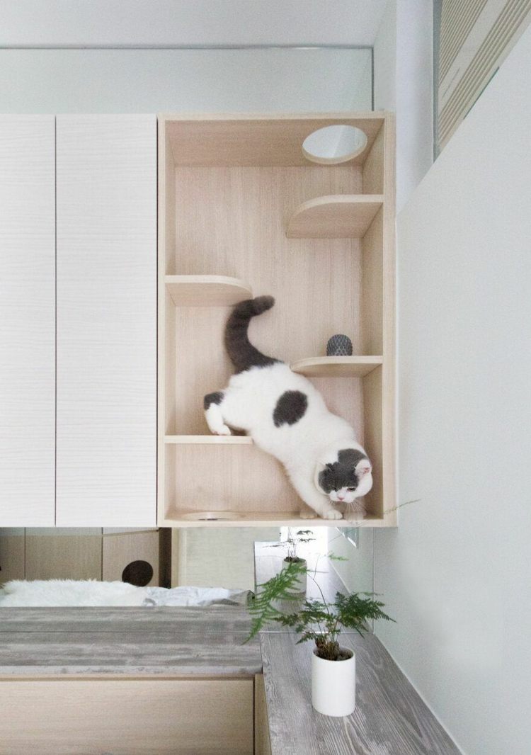 Multifunktionella klättermöbler för katter
