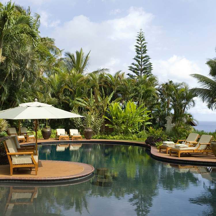Pool på bakgården-exotiska-tropiska-palm-sol-paraply-trädgårdsmöbler