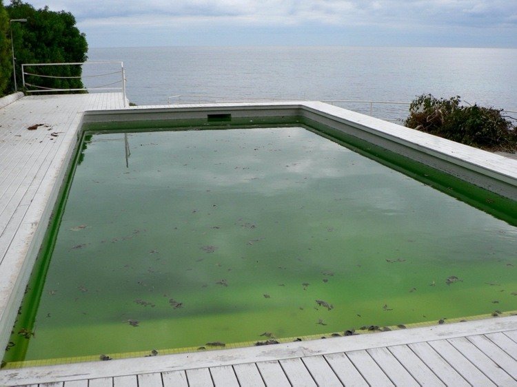 Grönt vatten i poolen vad man ska göra