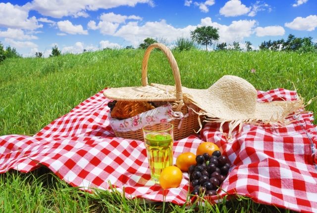 idéer för tillbehör-picknickfilt-klassisk rutig röd-vit