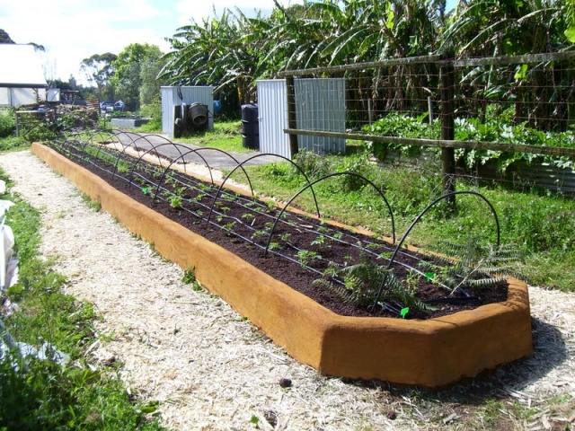 grönsaker sängkläder trädgård design idéer tips för planering