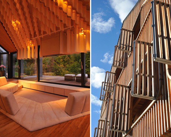 Progressiv arkitektur av trä och sten