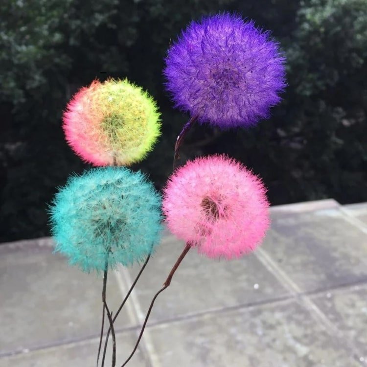 Maskrosdekoration i ljusa färger - färga blommor med matfärg