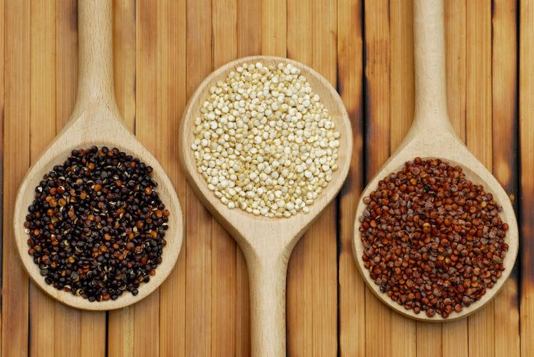 quinoa brödkorn frön sorter röd svart vit