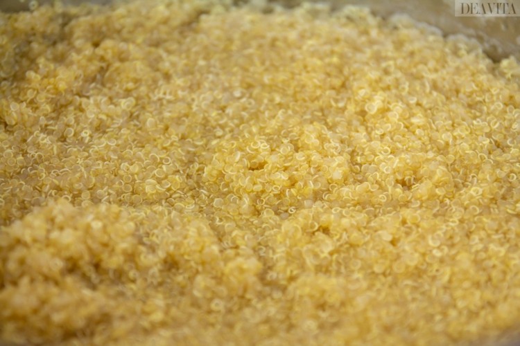 quinoa koka förhållande vatten glasartad struktur
