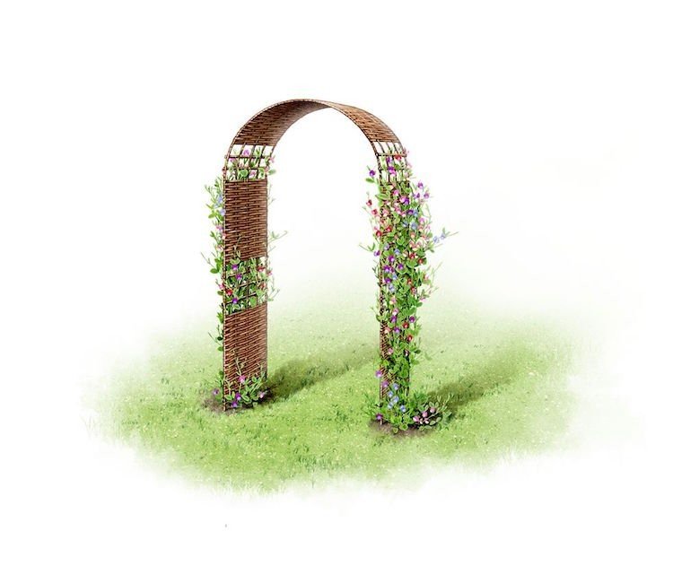 lårbåge för klätterväxter rustik design