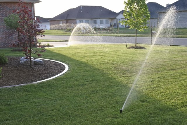 Trädgårdsskötsel vattningstips sprinklersystem