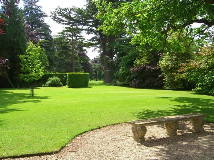 gräsmatta-kant-trädgård-idé-engelska-utan-säng-kantning