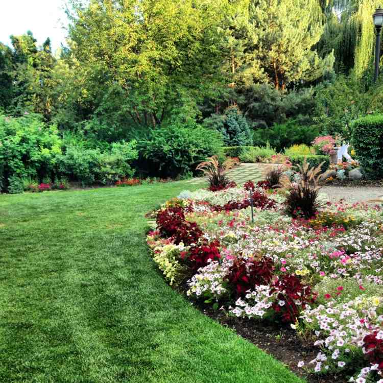 gräsmatta-kant-trädgård-engelsk-design-naturligtvis-blommor-färgglada