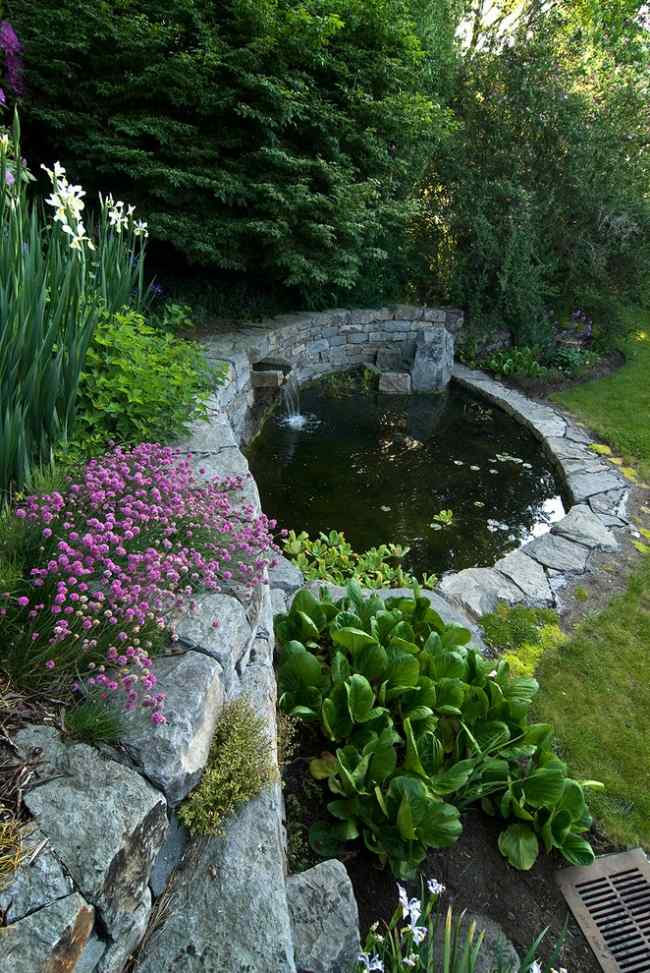 Trädgårdsdamm växt-sten stödmur-traditionell trädgård landskapsarkitektur