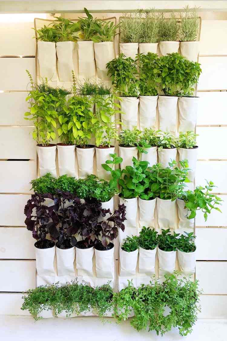 DIY skiljevägg rumdelare växter rumdelare växtsorter växtbaserade växter hydroponics