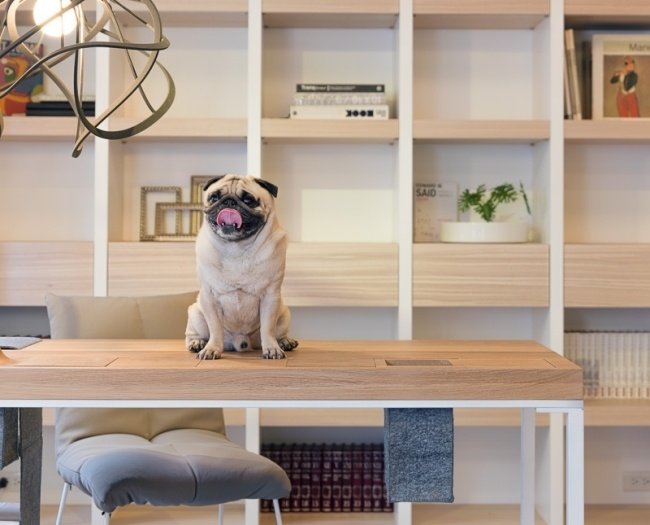 Folk design lägenhet möbler-vanliga möbler hyllsystem
